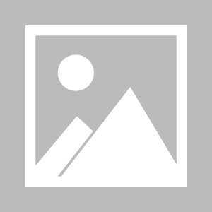 kaiyun sports-5500万镑引援后！纽卡换锋线目标盯维萨，野心勃勃冲击英超六强格局