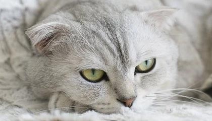 华体会体育：把热爱变成日常的力量