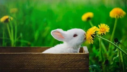 华体会体育：把热爱变成日常的力量